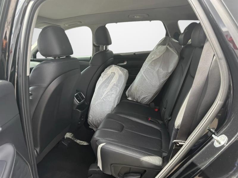 hyundai Santa Fe 2020 - 10