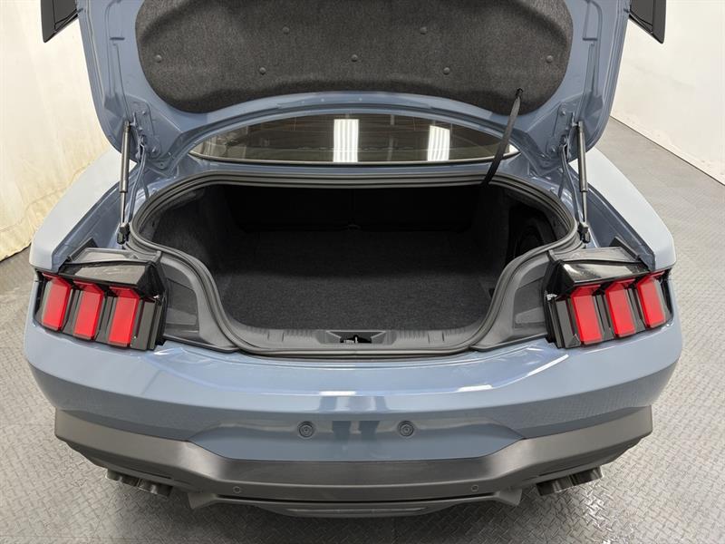 ford Mustang 2024 - 9