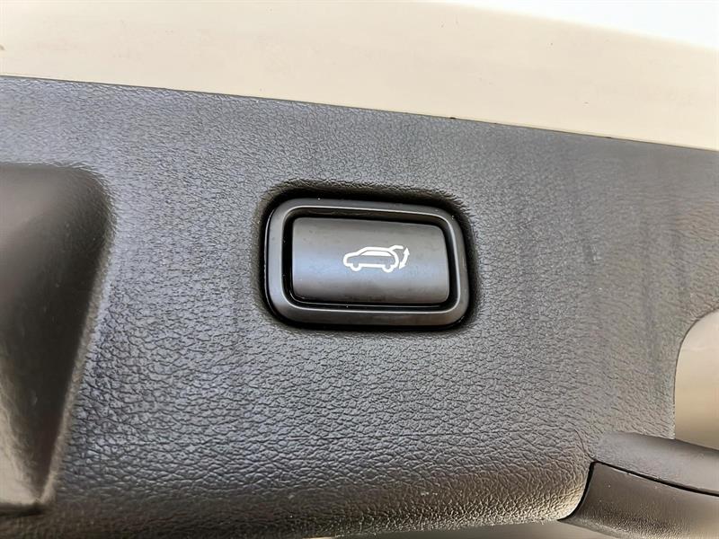 kia Sportage 2024 - 14