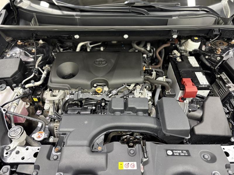toyota RAV4 2023 - 5