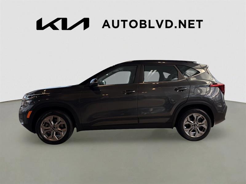 kia Seltos 2024 - 2