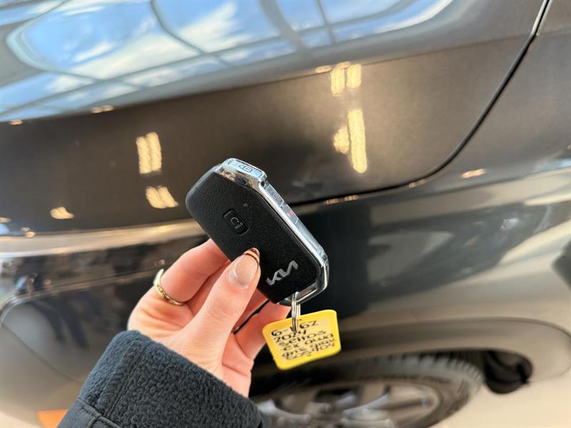 kia Seltos 2024 - 15