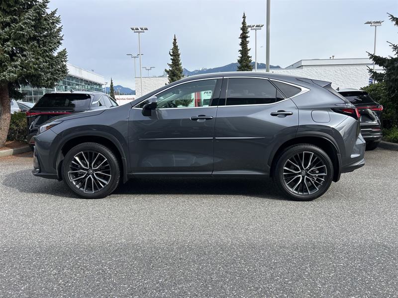 lexus NX 2025 - 2