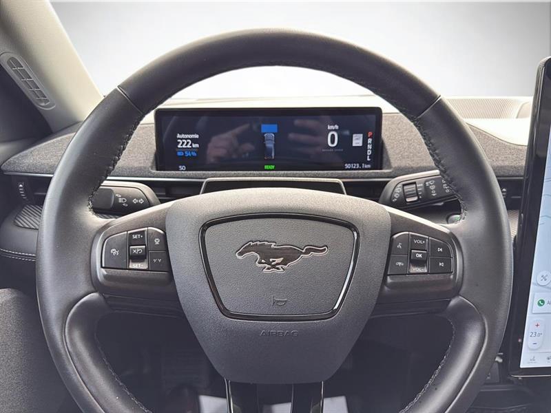 ford Mustang Mach-E 2023 - 15
