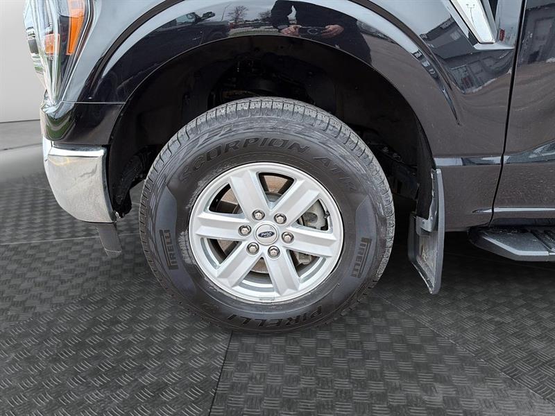 ford F-150 2023 - 6