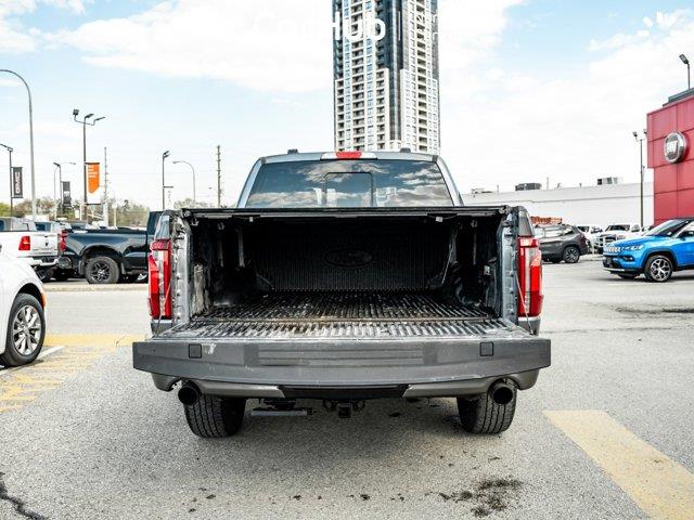 ford F-150 2024 - 6