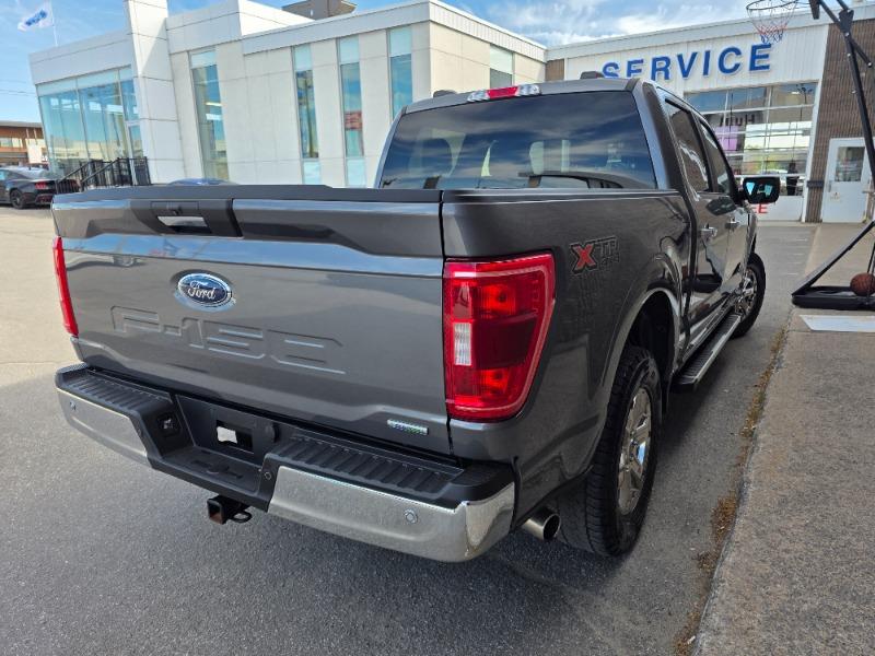 ford F-150 2022 - 5