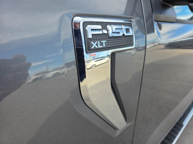 ford F-150 2022 - 12