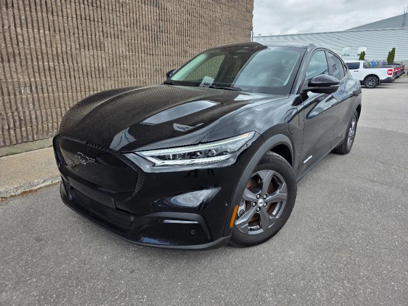 ford Mustang Mach-E 2023