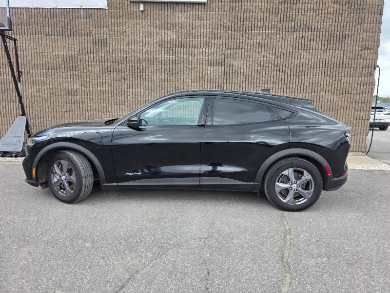 ford Mustang Mach-E 2023 - 2