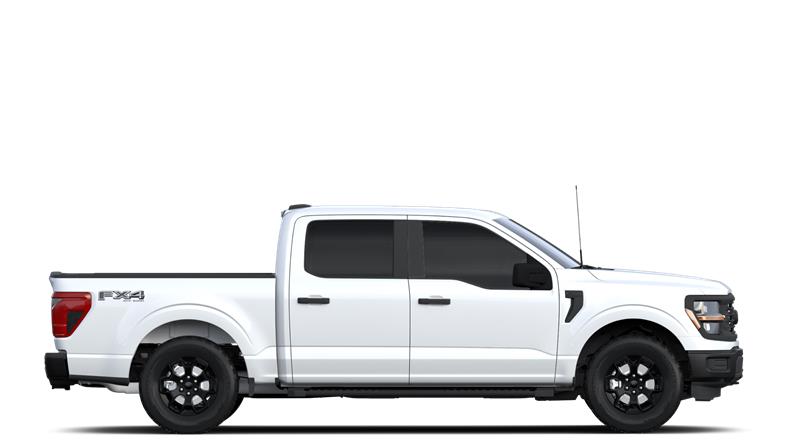 ford F-150 2024 - 5