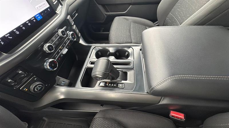 ford F-150 2024 - 12