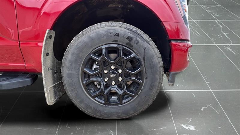 ford F-150 2024 - 25