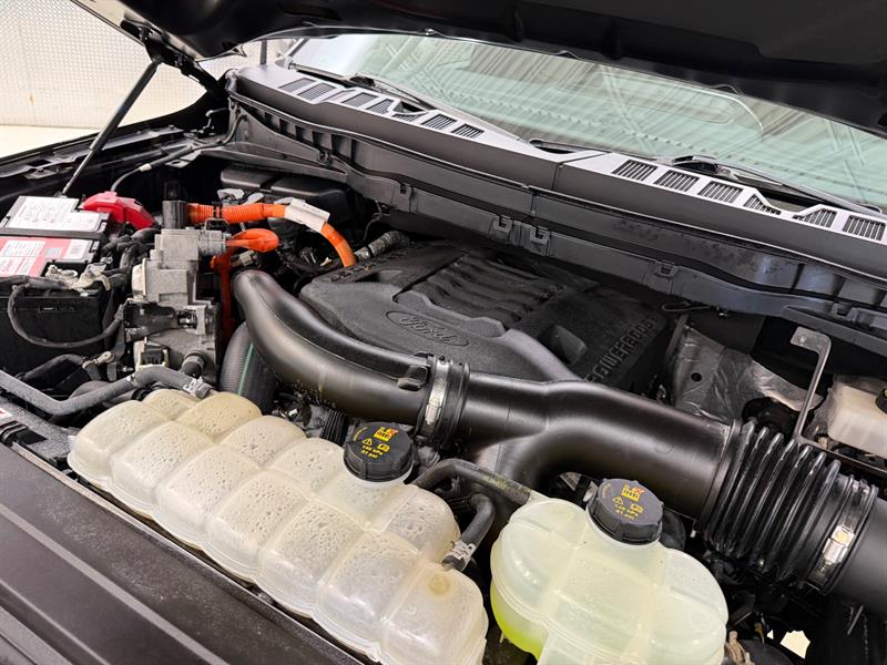 ford F-150 2022 - 30