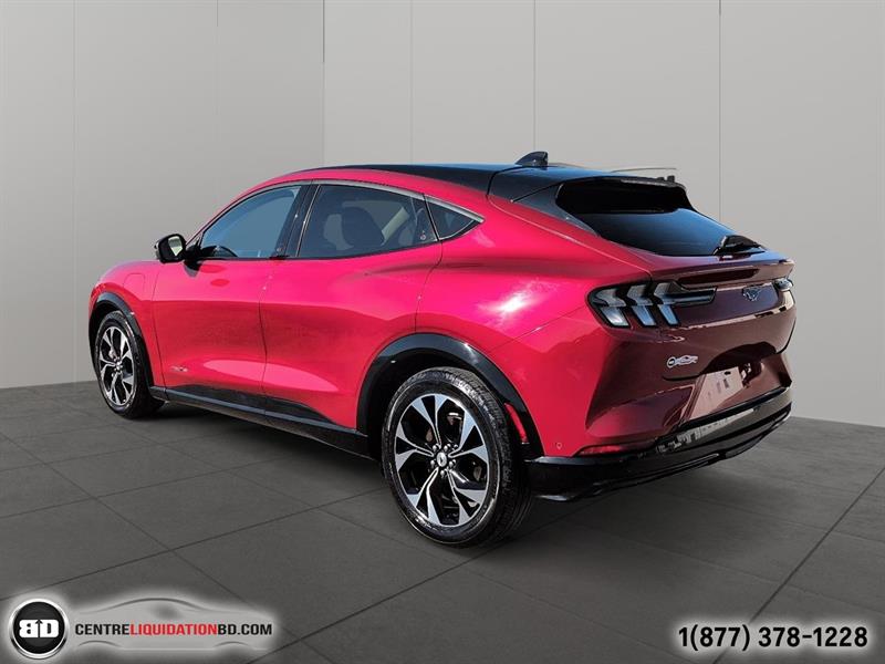 ford Mustang Mach-E 2021 - 8