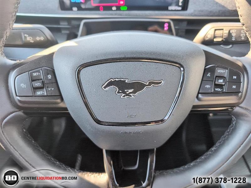 ford Mustang Mach-E 2021 - 19