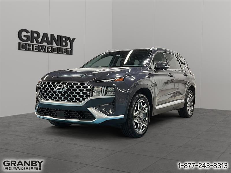 hyundai Santa Fe hybride 2021