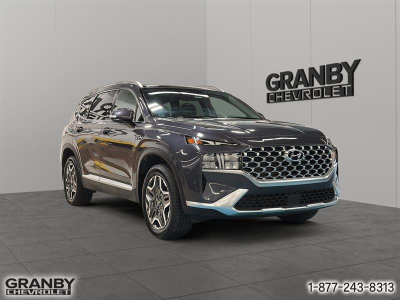 hyundai Santa Fe hybride 2021 - 3