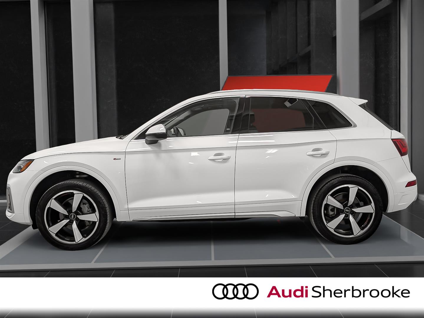 audi Q5 2024 - 2