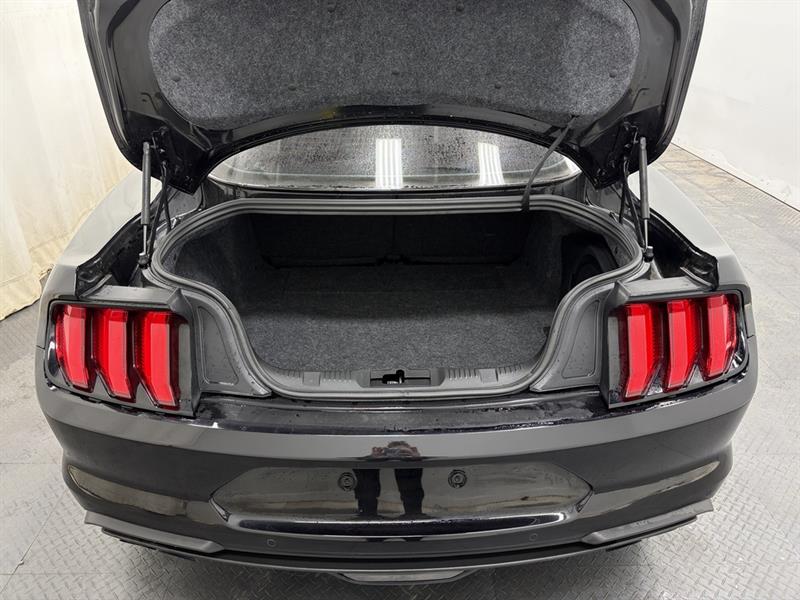 ford Mustang 2019 - 8