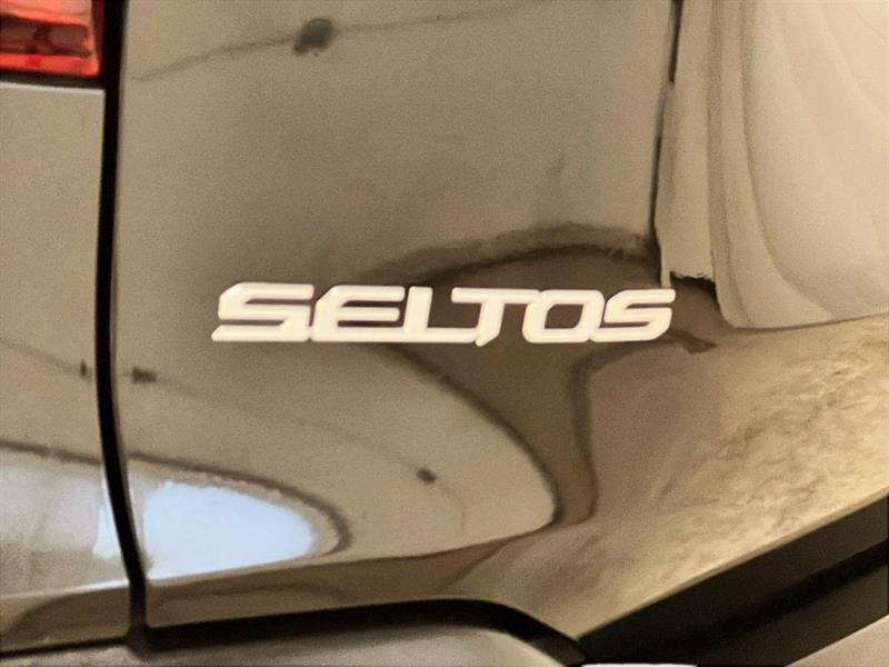 kia Seltos 2024 - 25