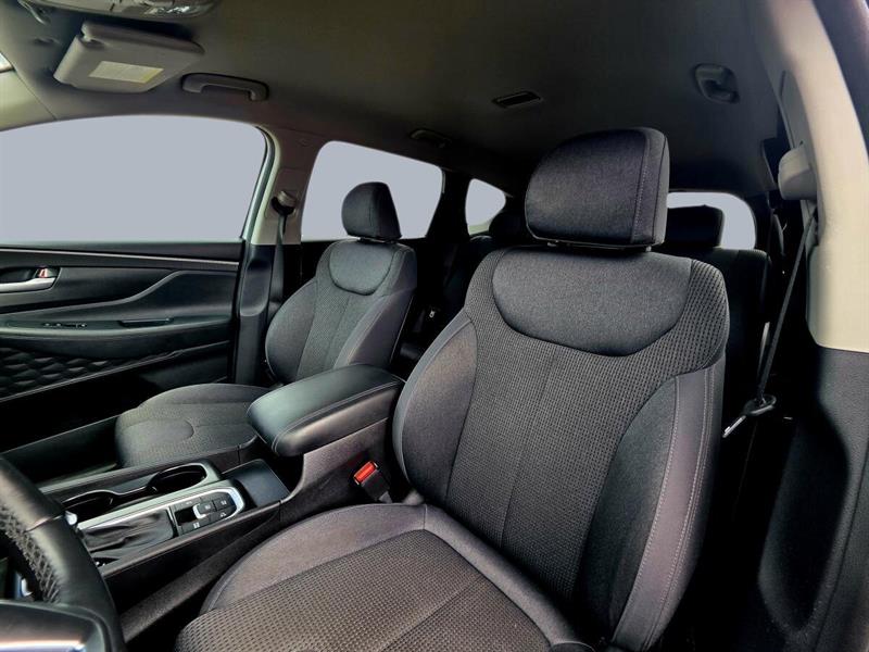 hyundai Santa Fe 2019 - 12
