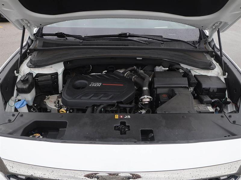 hyundai Santa Fe 2019 - 6