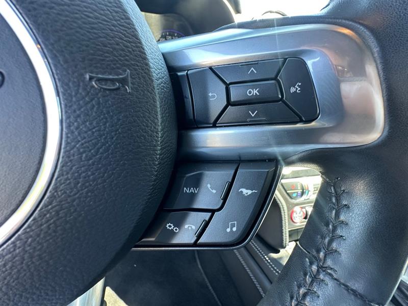 ford Mustang 2019 - 15