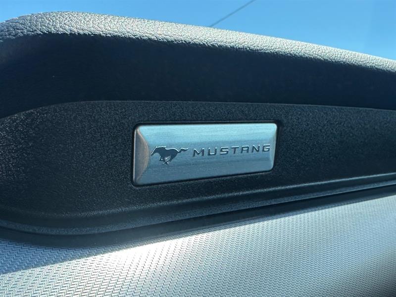 ford Mustang 2019 - 18