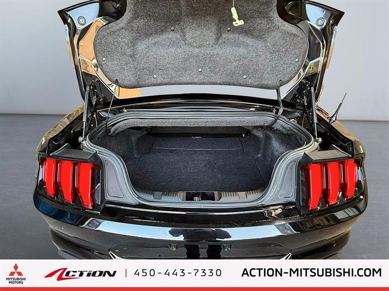 ford Mustang 2023 - 12
