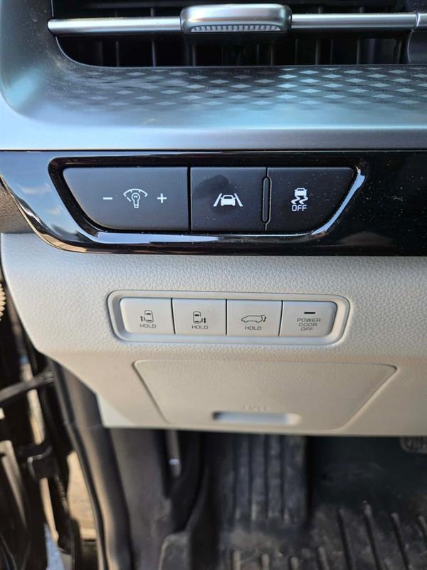 kia Carnival 2024 - 17