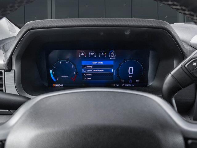ford F-150 2025 - 12