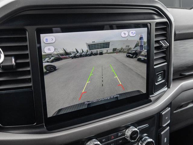 ford F-150 2025 - 14