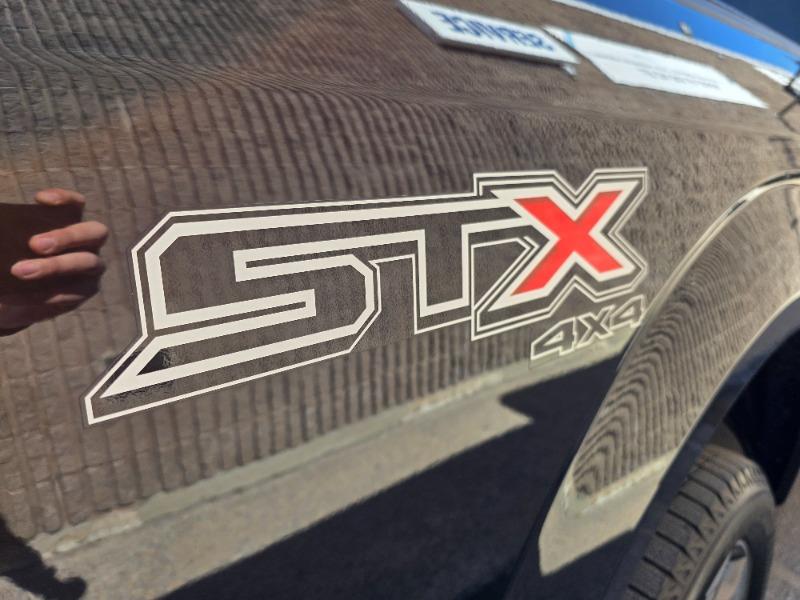 ford F-150 2019 - 11