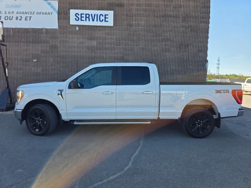 ford F-150 2023 - 2