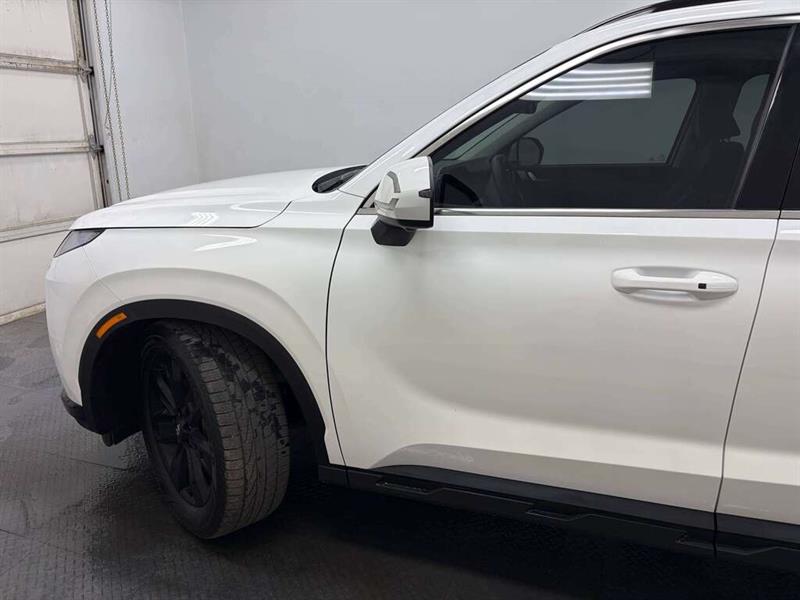 hyundai Palisade 2024 - 3