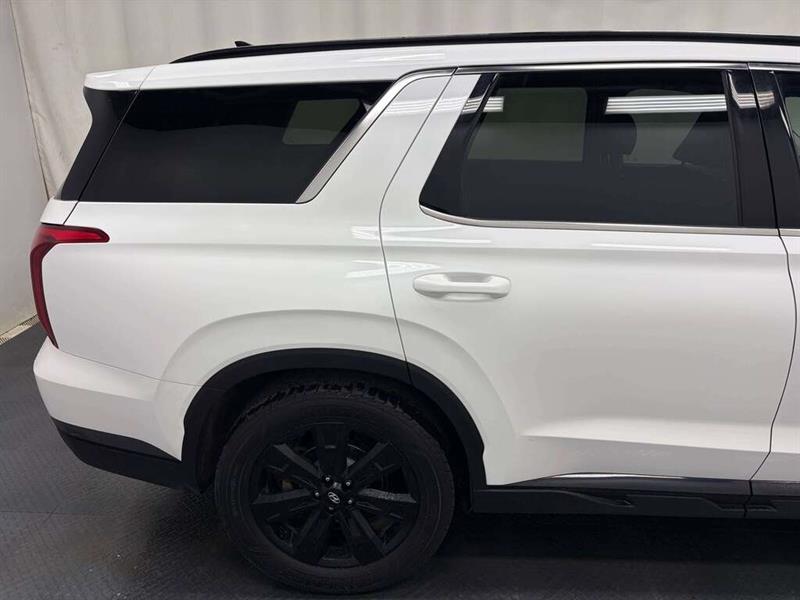hyundai Palisade 2024 - 14