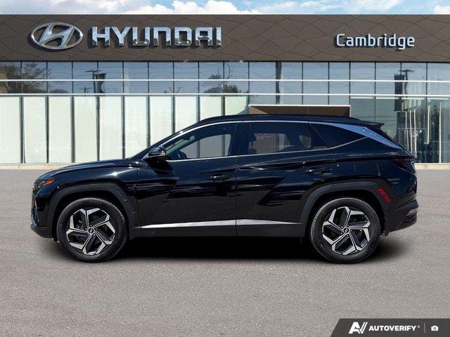 hyundai Tucson hybride 2024 - 2