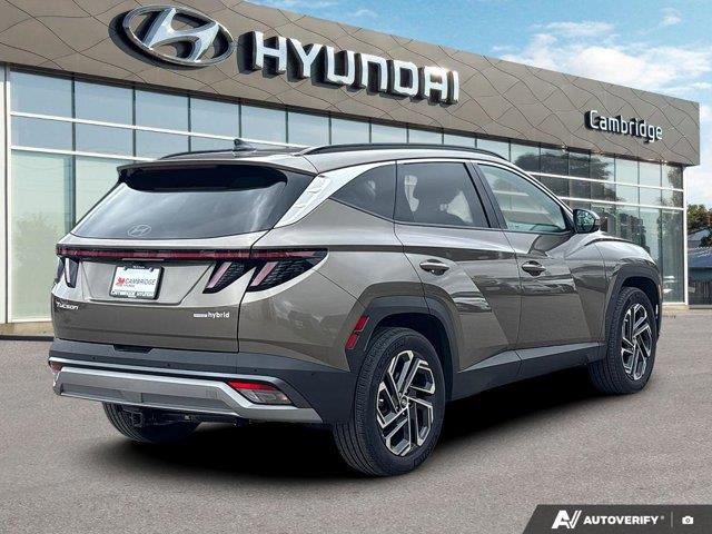 hyundai Tucson hybride 2025 - 5