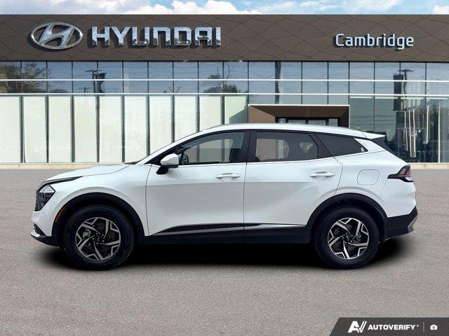 kia Sportage 2024 - 2