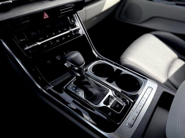 kia Carnival 2024 - 24