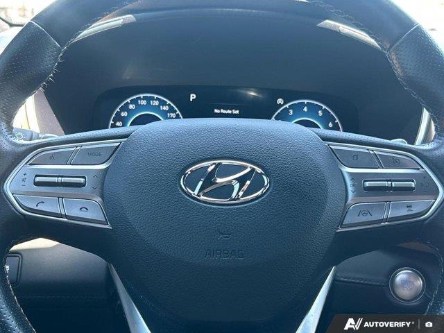 hyundai Santa Fe 2023 - 19