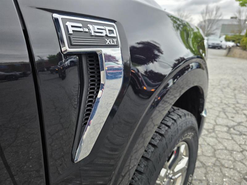 ford F150 2021 - 4