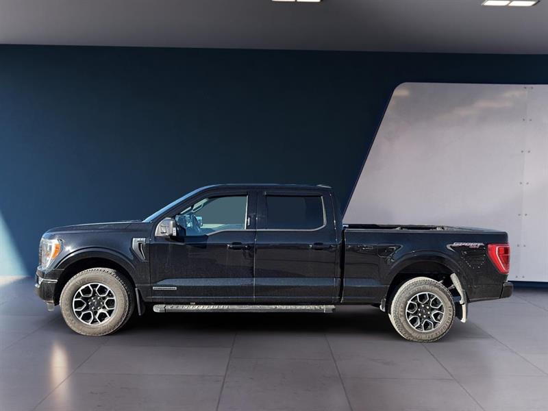 ford F-150 2021 - 2