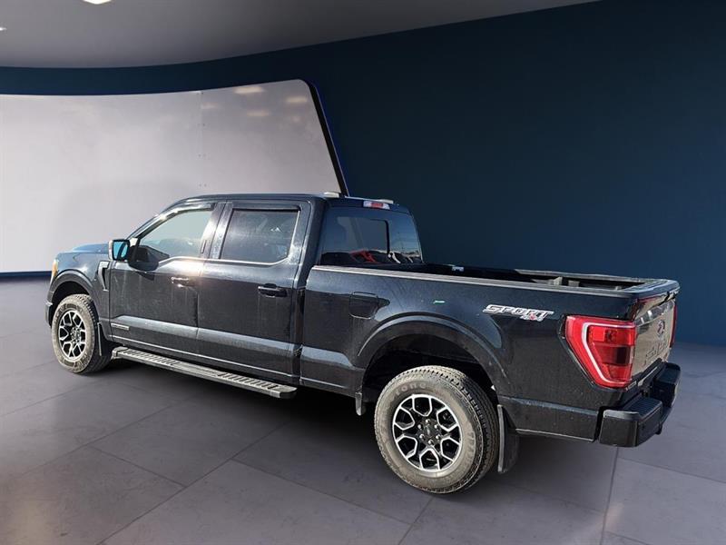 ford F-150 2021 - 3
