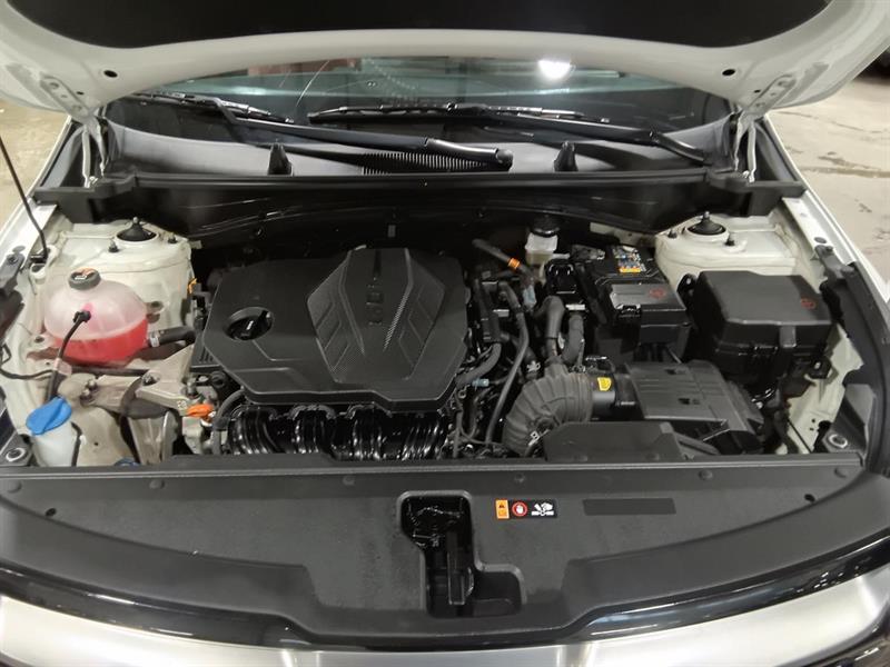 kia Sportage 2024 - 7