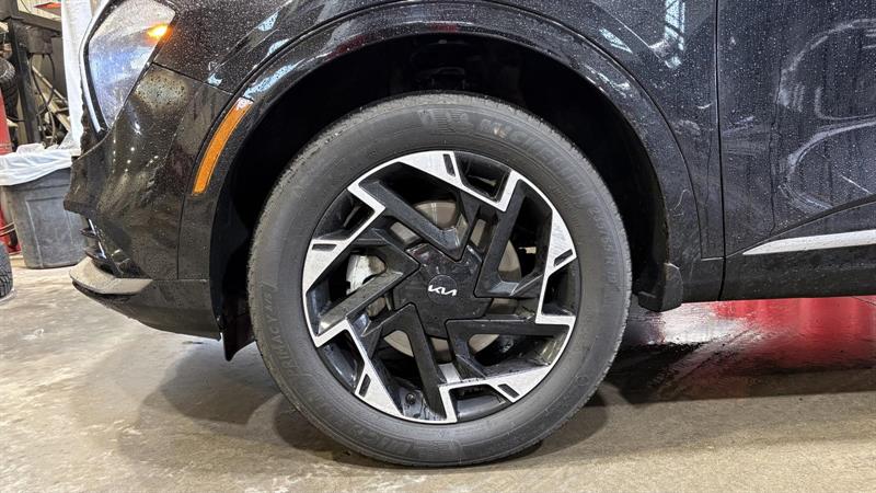 kia Sportage 2025 - 5