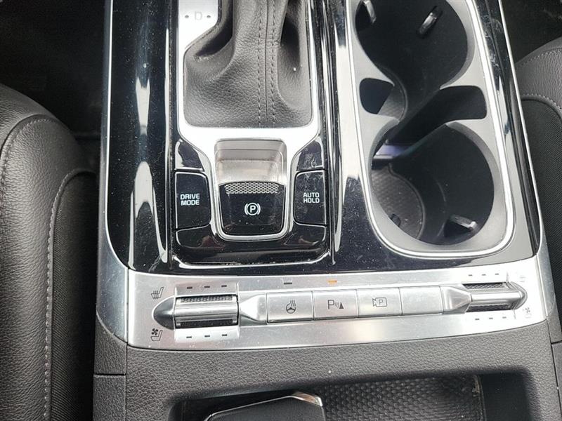 kia Carnival 2024 - 15