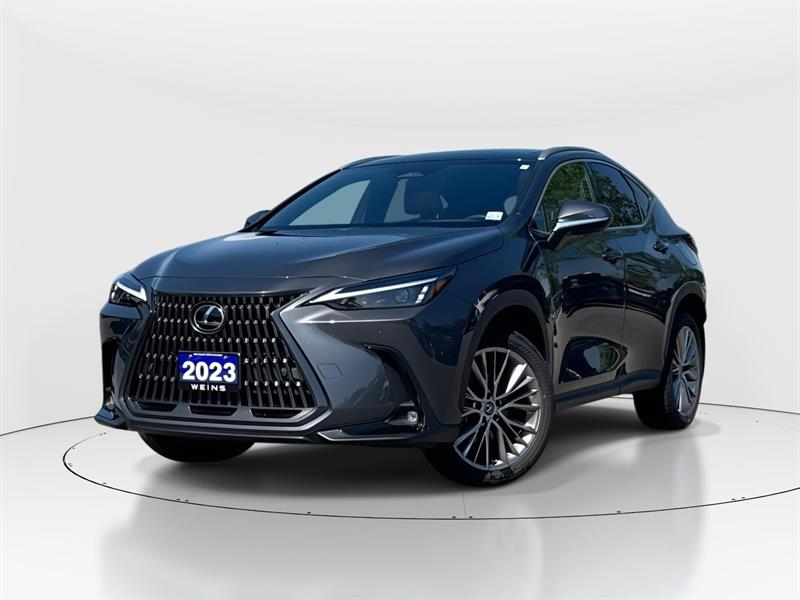 lexus NX 350 2023
