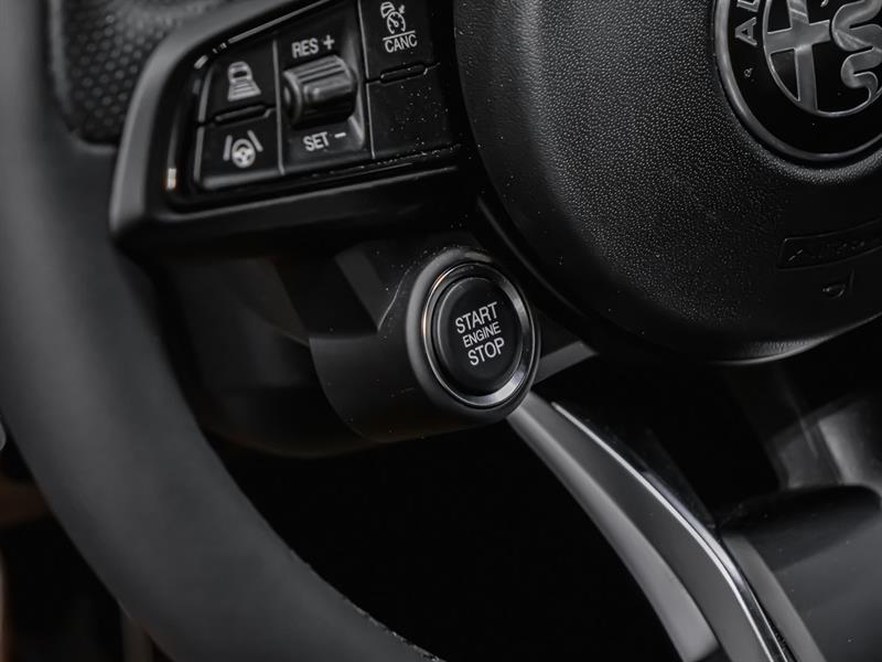 alfa romeo Giulia 2026 - 14